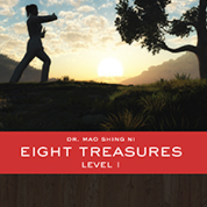 DVD Eight Treasures Chi Gong